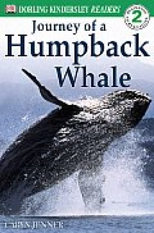 journey-of-a-humpback-whale-by-caryn-jenner-1358196606-jpg