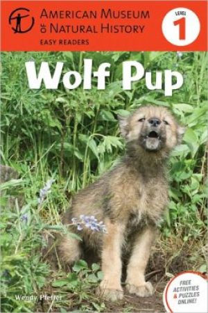 wolf-pup-by-wendy-pfeffer-1418178384-jpg