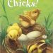 chicks-jpg