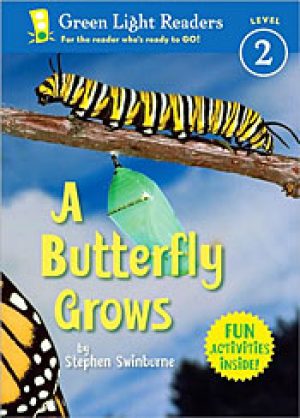 a-butterfly-grows-by-stephen-swinburne-1358456191-1-jpg