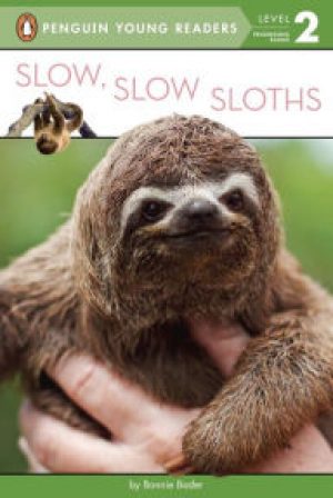 slowsloths-jpg