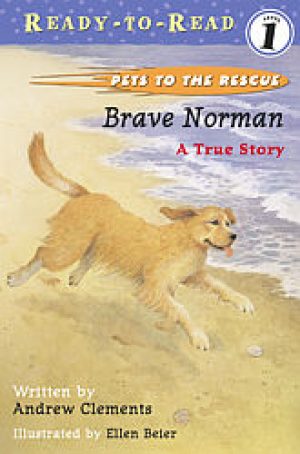 brave-norman-a-true-story-by-andrew-clement-1358450595-jpg