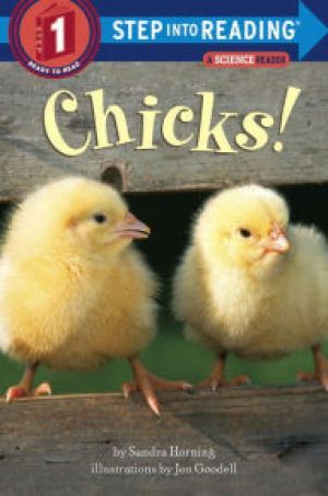 chicks2-jpg