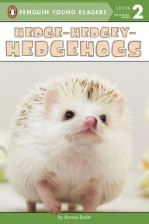 hedgehogs-1-jpg