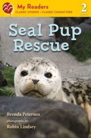 seal-pup-rescue-by-brenda-peterson-1432011315-jpg