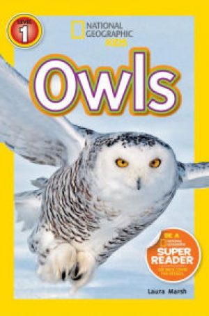 owls-jpg