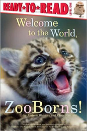welcome-to-the-world-zooborns-by-andrew-blei-1358048858-jpg