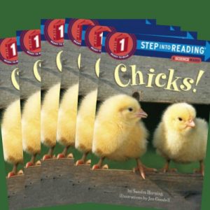 chicksgroupset-jpg