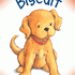 biscuit-gif