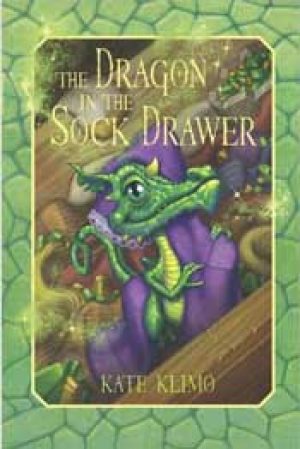 the-dragon-in-the-sock-drawer-by-kate-klimo-1358100437-jpg